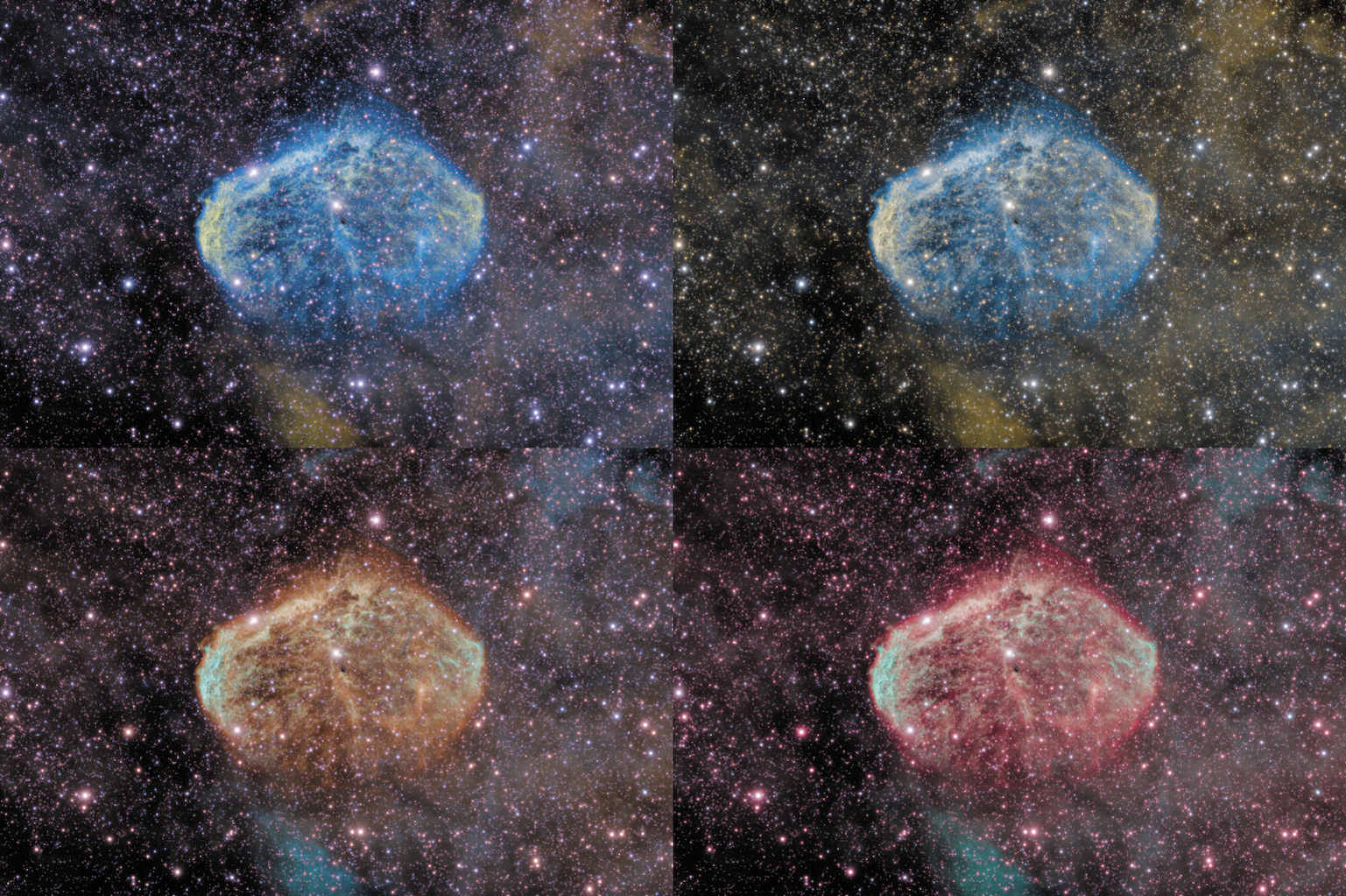 A 4-panel showing NGC 6888 in four different narrowband renderings.