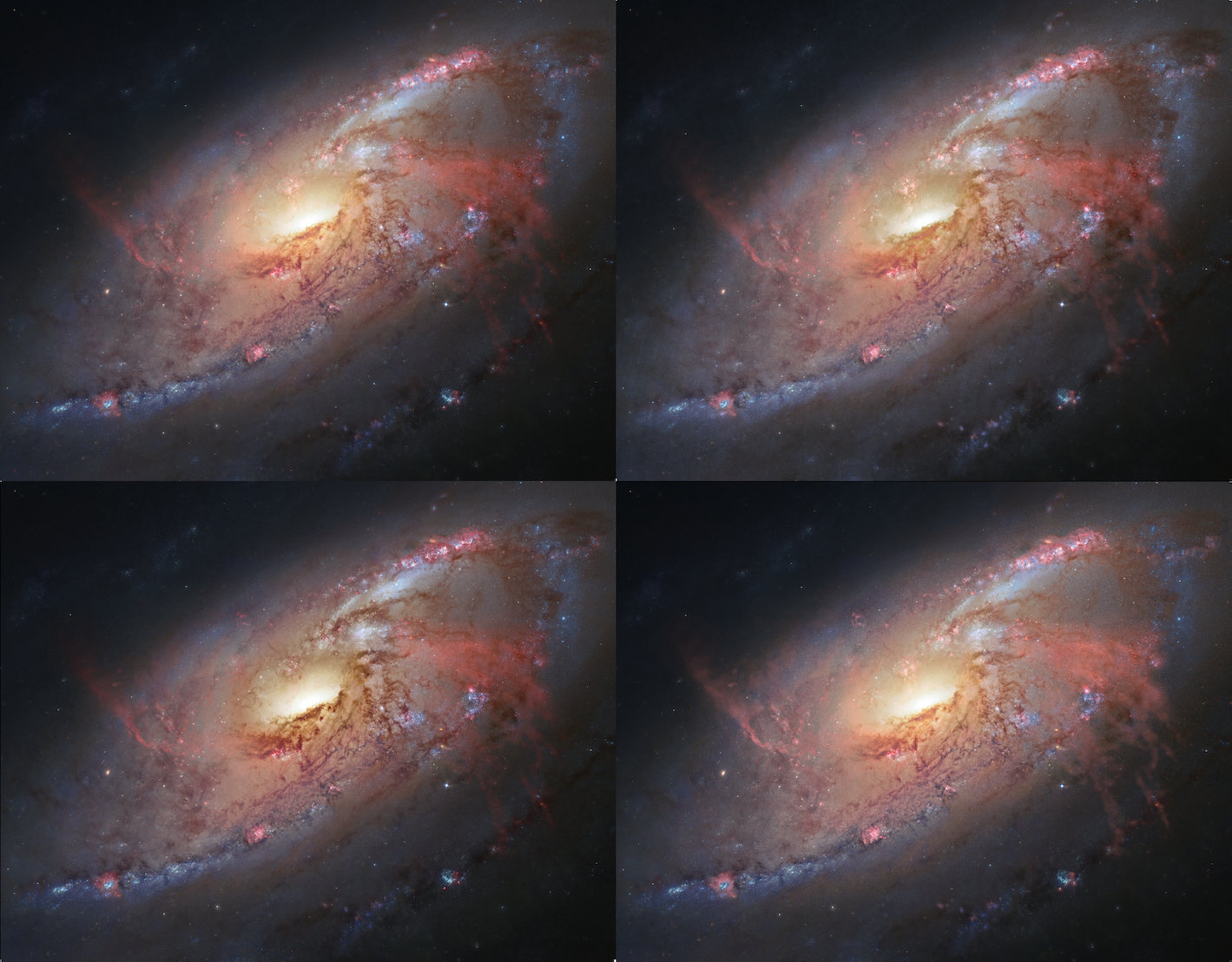 4-panel of the same image, 3 of which were processed by the Entropy module