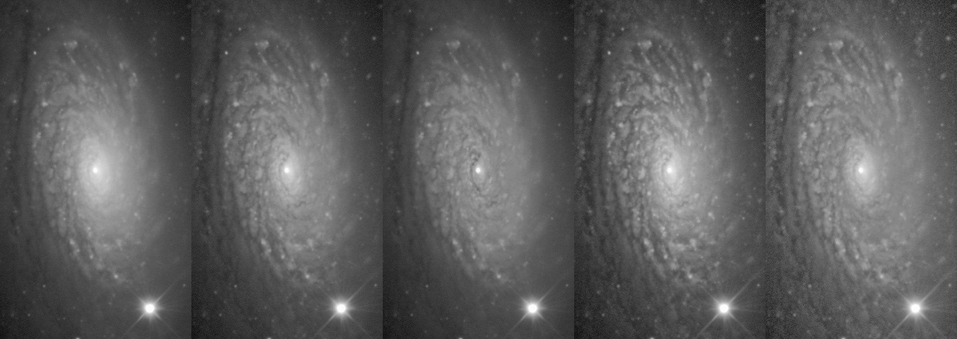 5 images of M63, demonstarting the HDR module's presets.