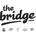 The Bridge Gap Year